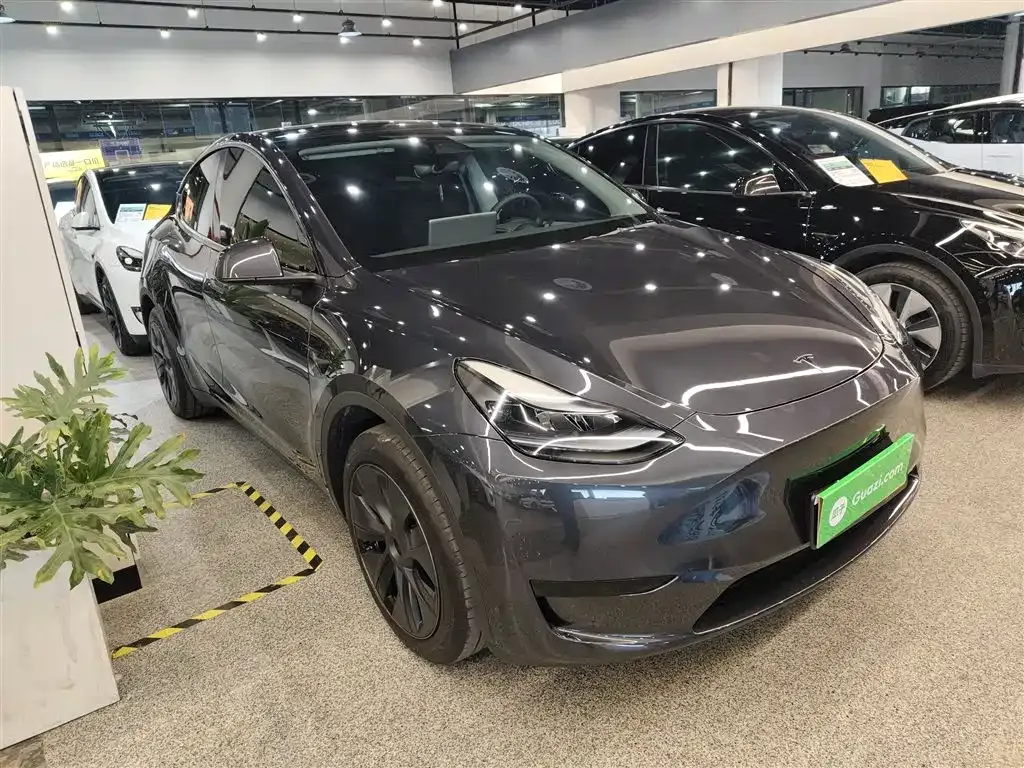 Tesla Model Y — фото 9