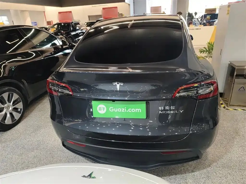 Tesla Model Y — фото 10
