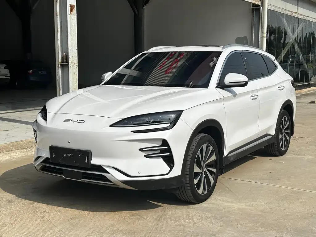 BYD PLUS New Energy 2024 из CN, фото 1