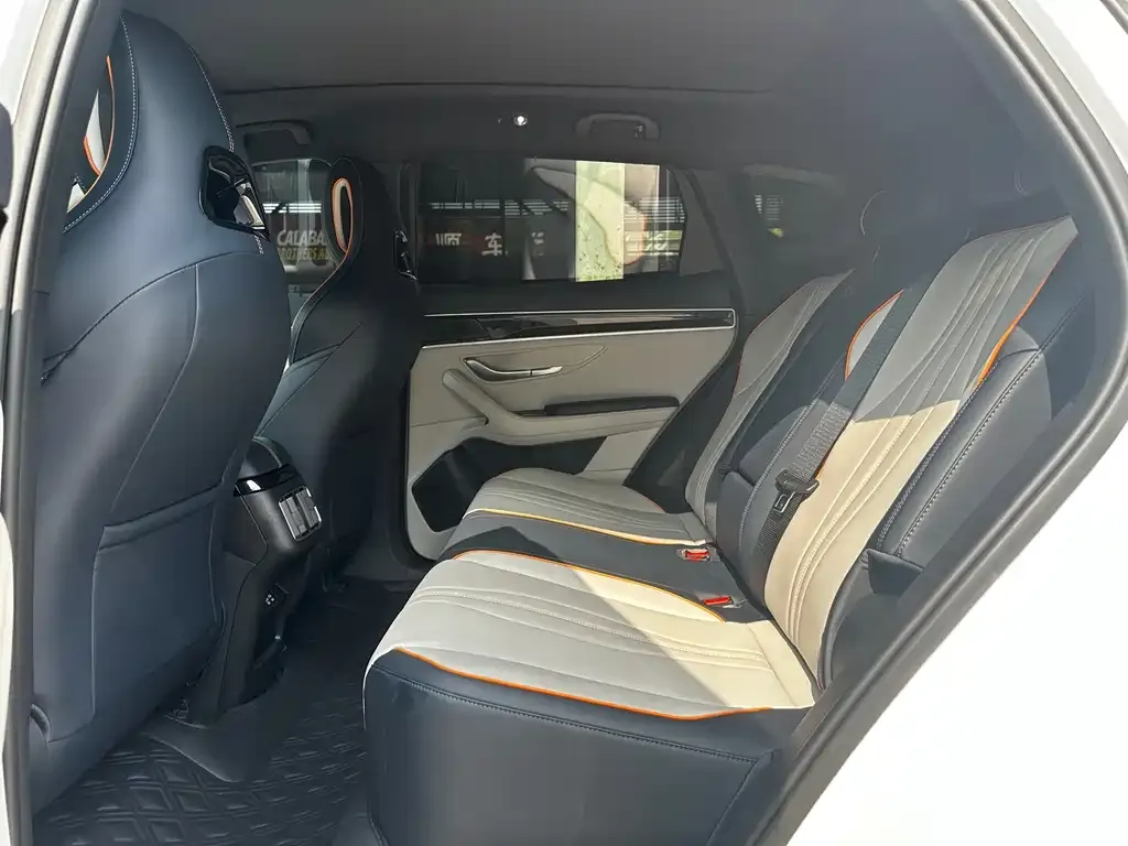 BYD PLUS New Energy 2024 из CN, фото 10