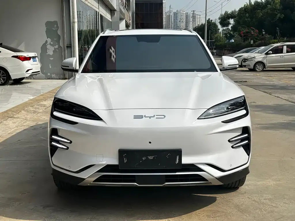 BYD PLUS New Energy 2024 из CN, фото 2