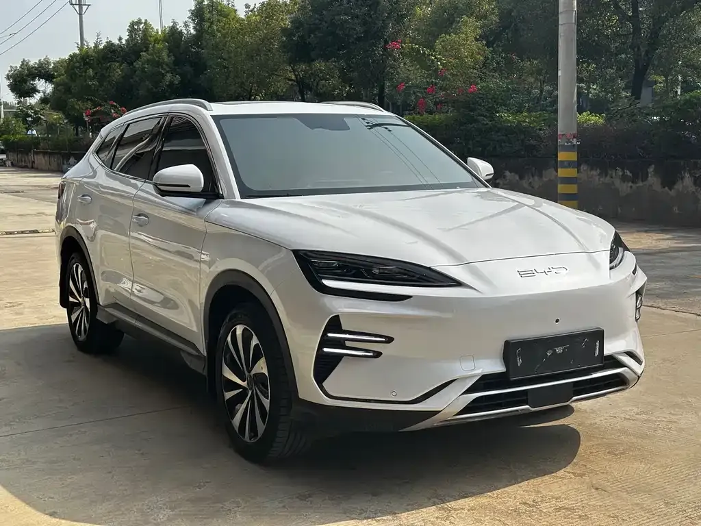 BYD PLUS New Energy 2024 из CN, фото 3