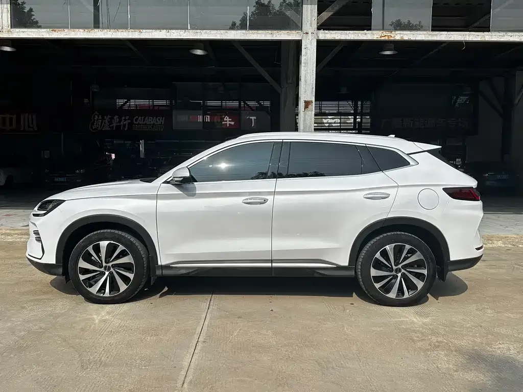 BYD PLUS New Energy 2024 из CN, фото 4