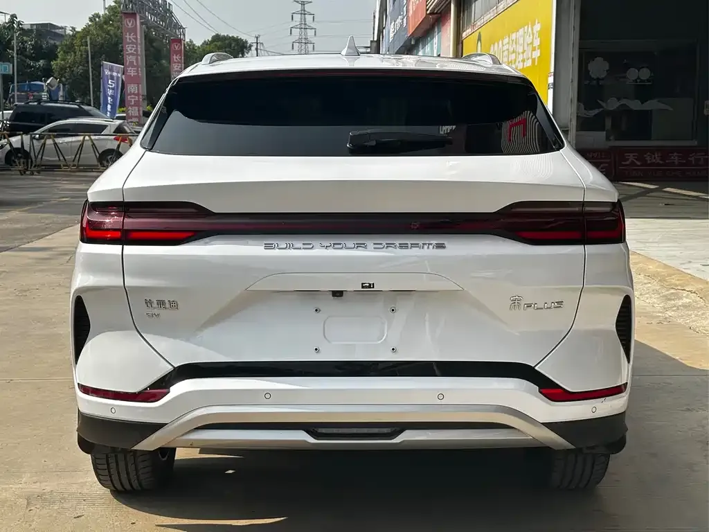 BYD PLUS New Energy 2024 из CN, фото 6