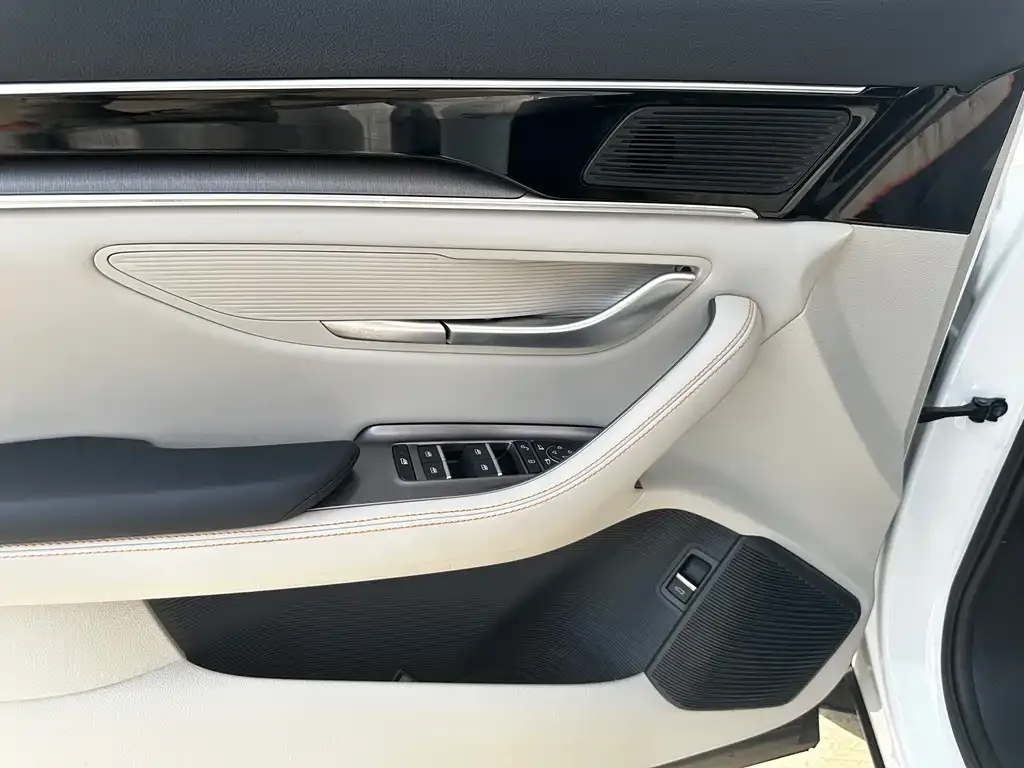 BYD PLUS New Energy 2024 из CN, фото 9
