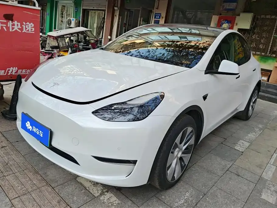 Tesla Model Y 2021 из CN, фото 1