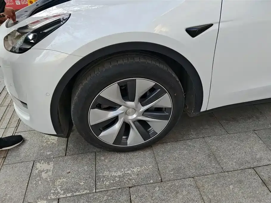 Tesla Model Y 2021 из CN, фото 5