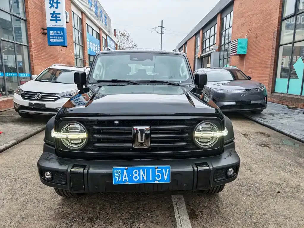 Tank 300 2023 из CN, фото 4