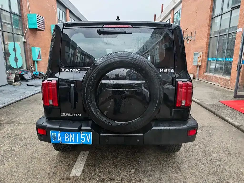 Tank 300 2023 из CN, фото 8