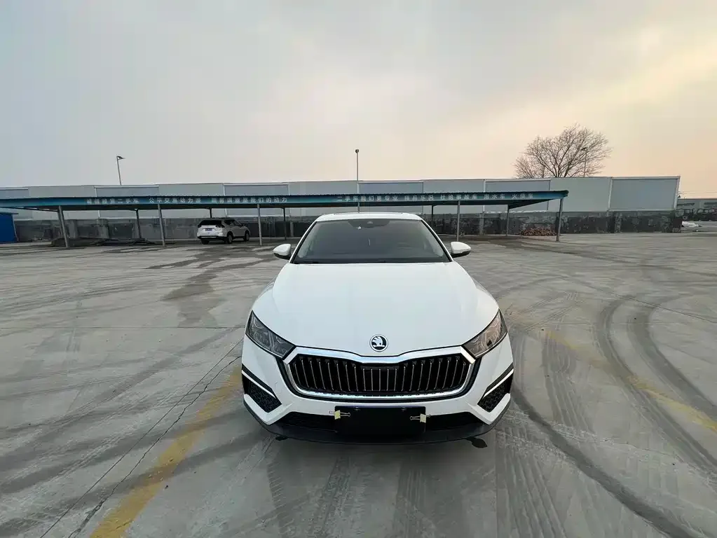 Skoda Octavia 2023 из CN, фото 2