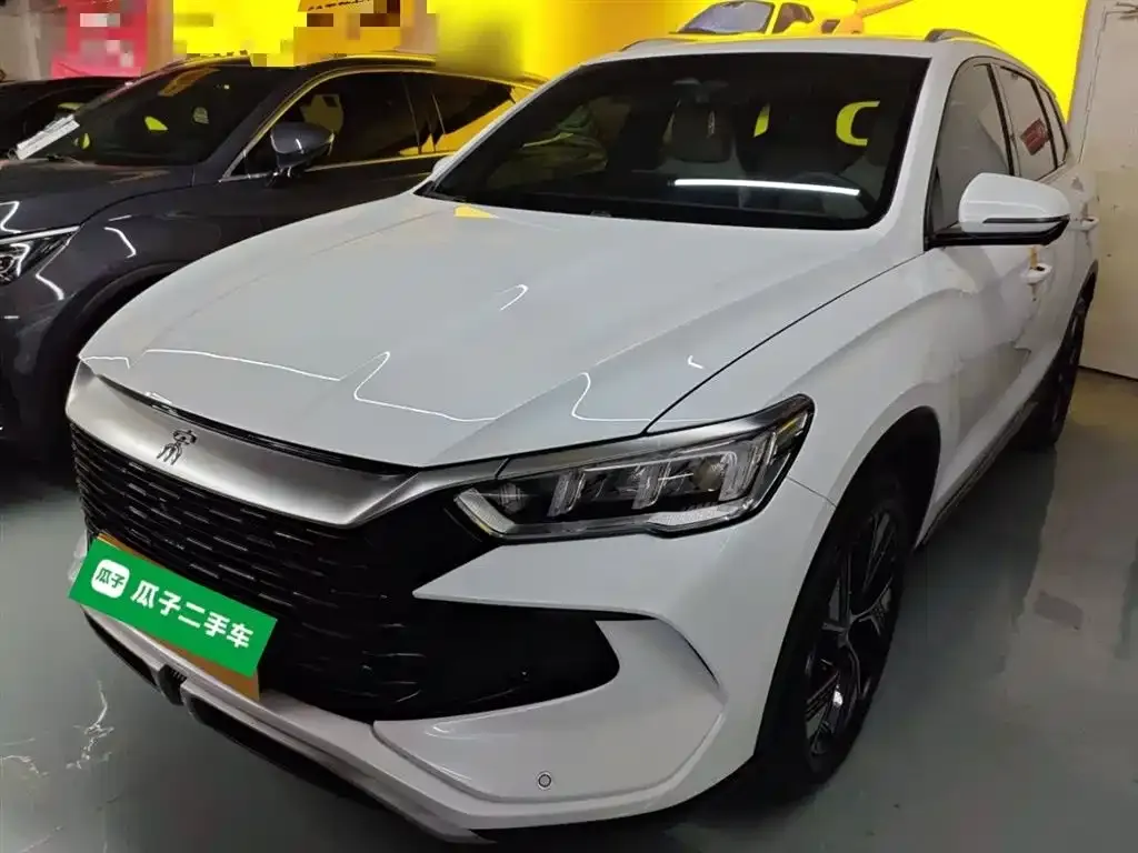 BYD Pro New Energy 2024 из CN, фото 1