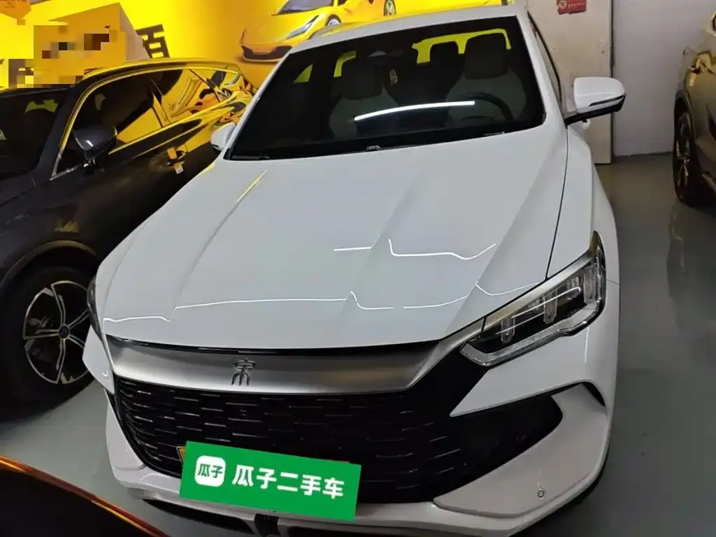 BYD Pro New Energy 2024 из CN, фото 7