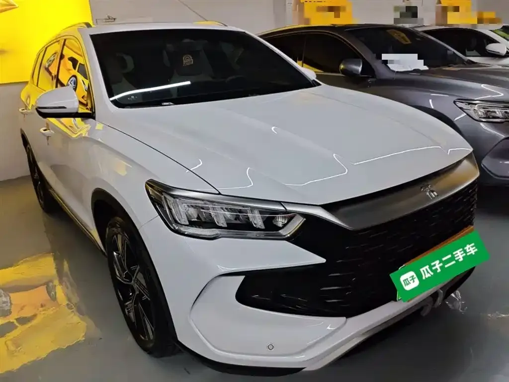 BYD Pro New Energy 2024 из CN, фото 8