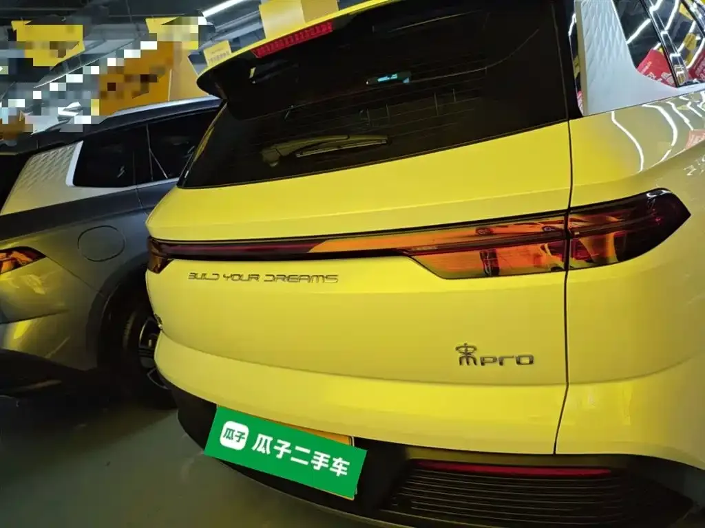 BYD Pro New Energy 2024 из CN, фото 3