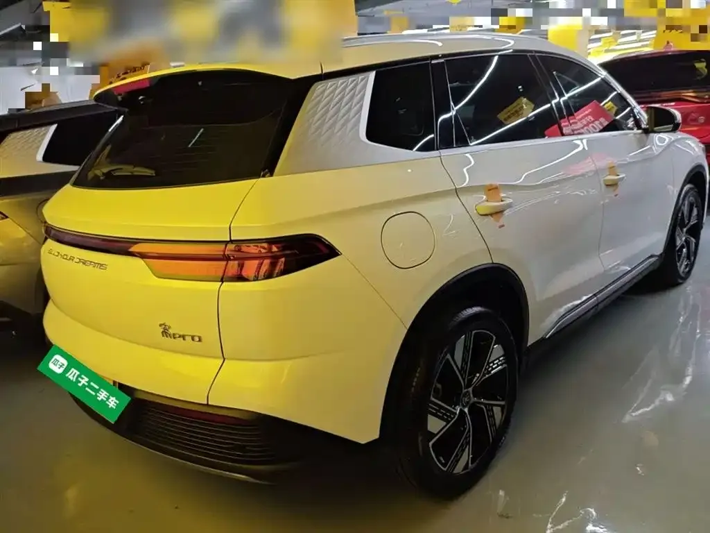 BYD Pro New Energy 2024 из CN, фото 5