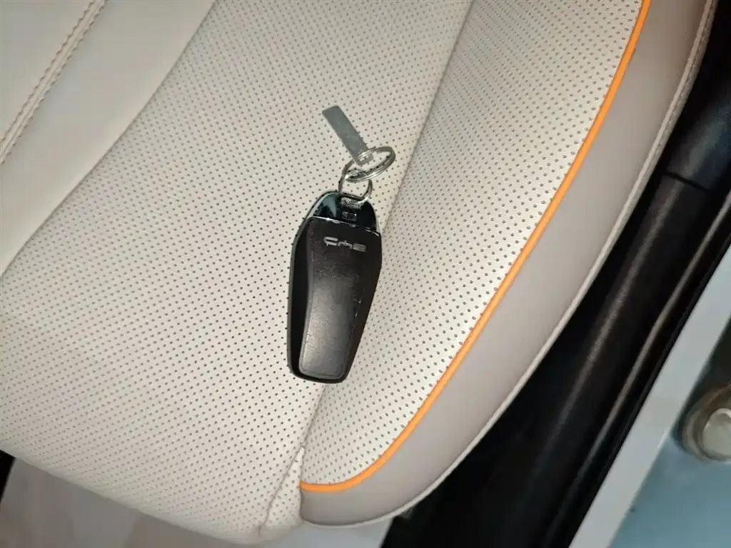 BYD Pro New Energy 2024 из CN, фото 9