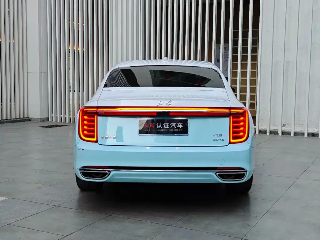 Hongqi H9 2021 из CN, фото 10