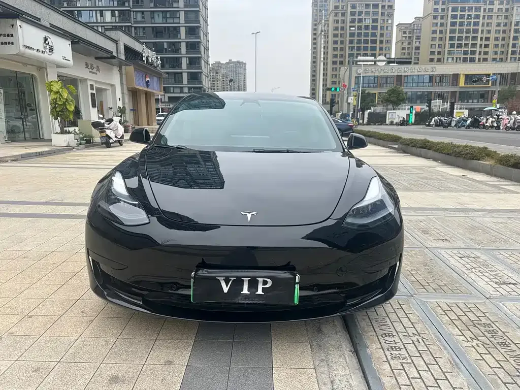 Tesla Model 3 2021 из CN, фото 1