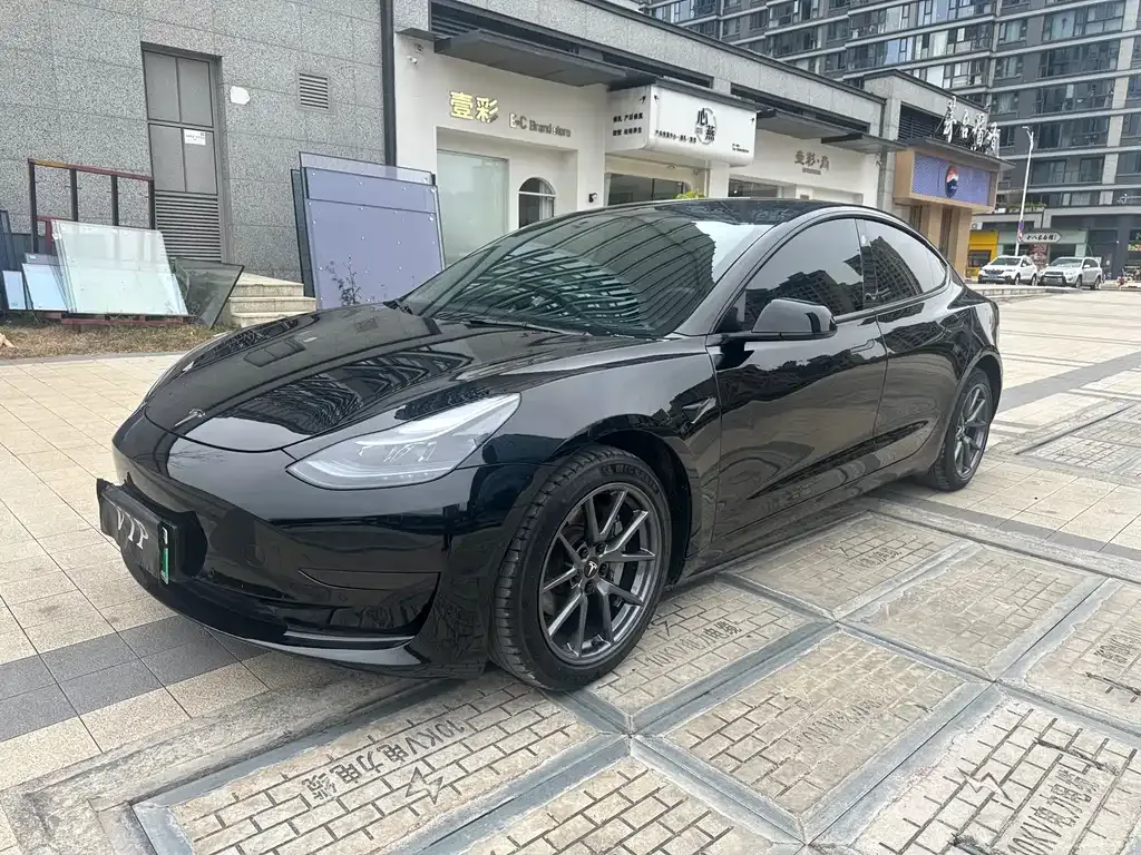 Tesla Model 3 2021 из CN, фото 3