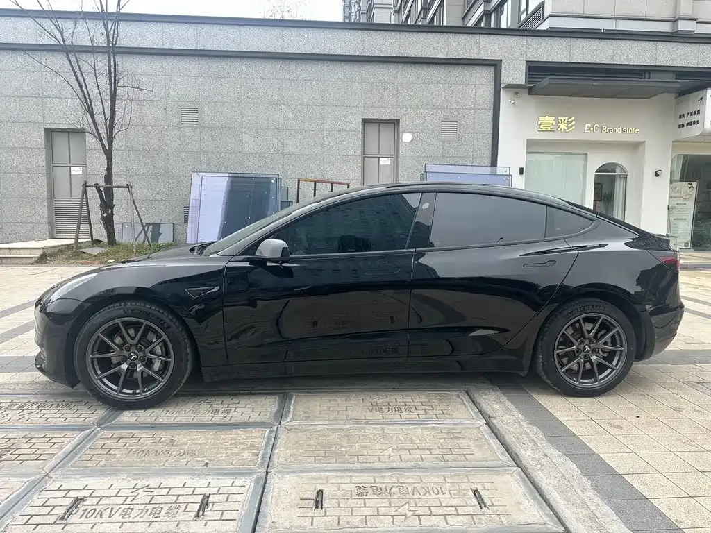 Tesla Model 3 2021 из CN, фото 5