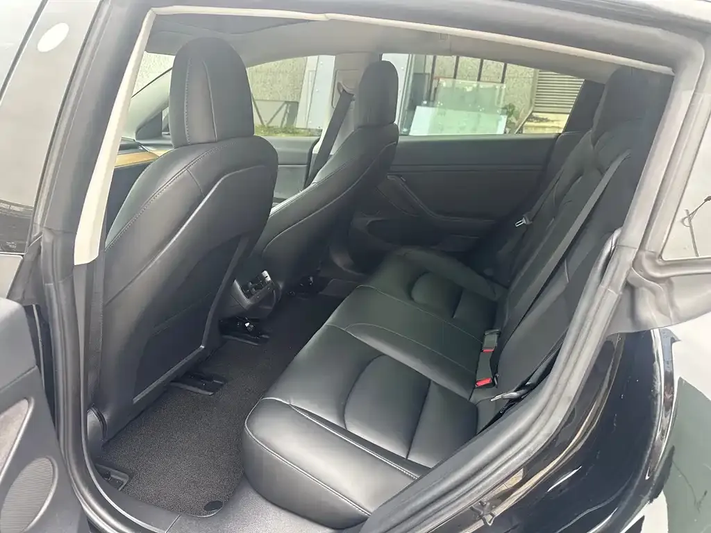 Tesla Model 3 2021 из CN, фото 8