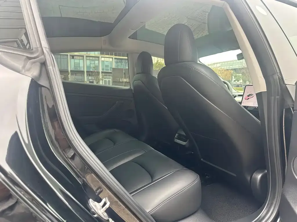 Tesla Model 3 2021 из CN, фото 6