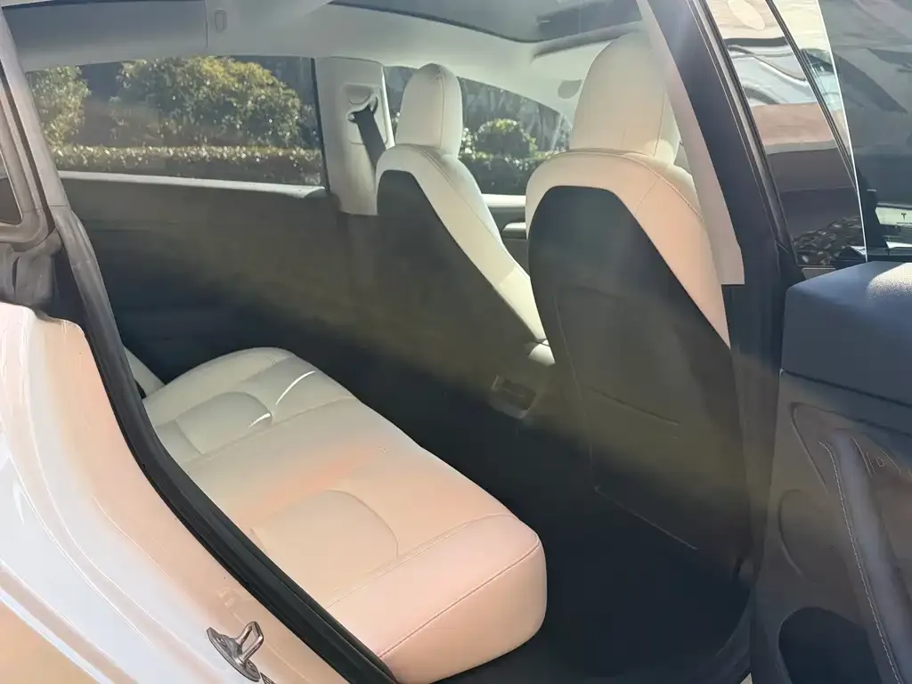 Tesla Model 3 2023 из CN, фото 5