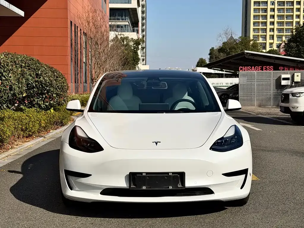 Tesla Model 3 2023 из CN, фото 9