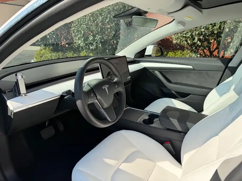 Tesla Model 3 2023 из CN, фото 7