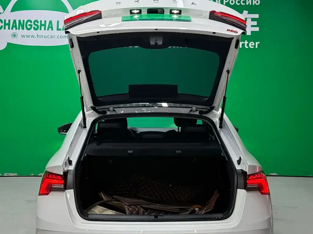Skoda Octavia 2022 из CN, фото 5