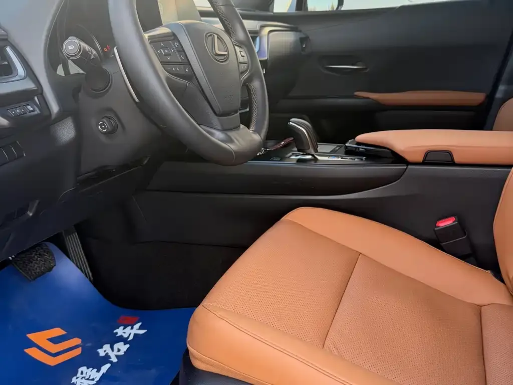 Lexus UX New Energy — фото 10