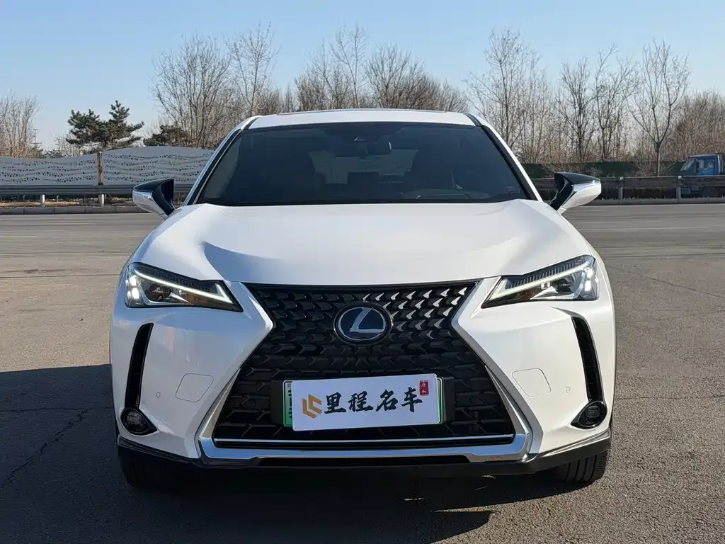 Lexus UX New Energy — фото 2