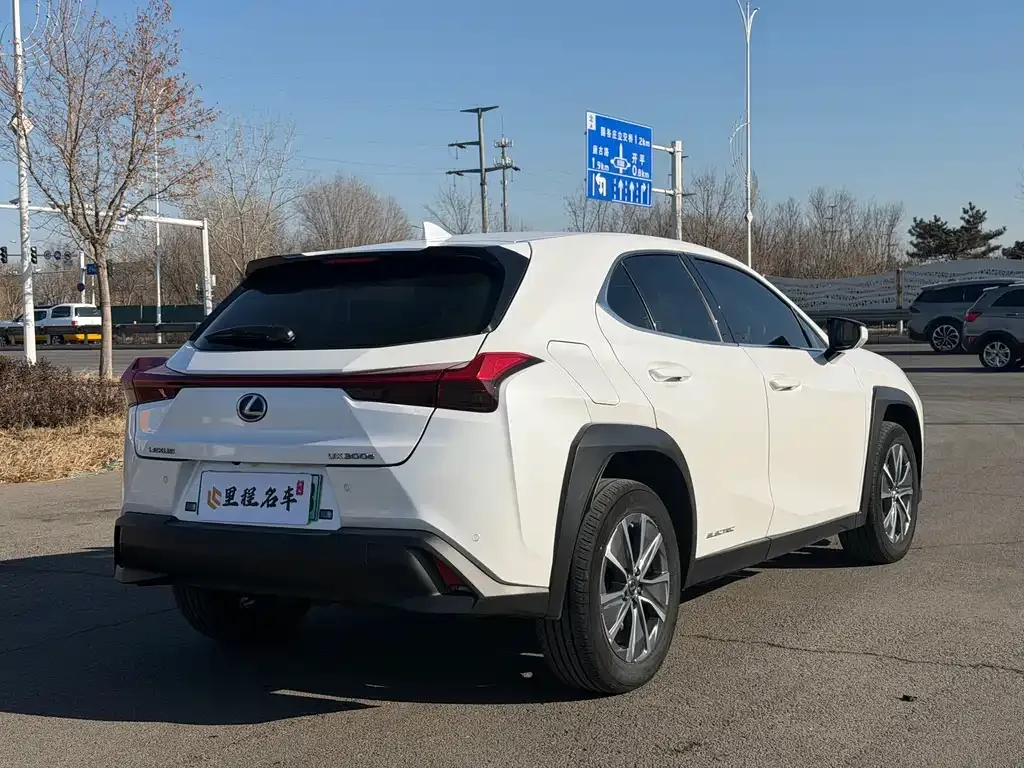 Lexus UX New Energy — фото 6