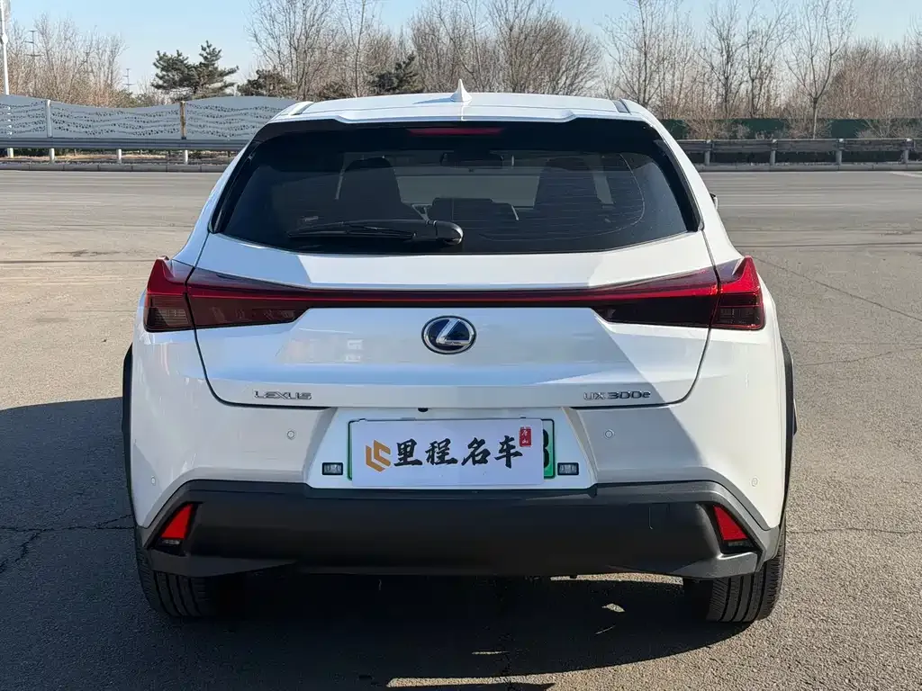 Lexus UX New Energy — фото 7