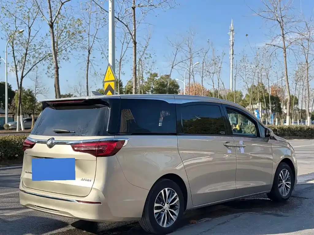 Buick GL8 2021 из CN, фото 6