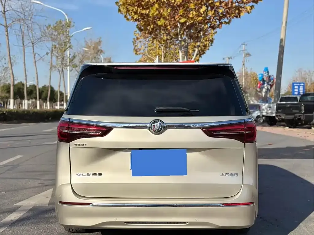 Buick GL8 2021 из CN, фото 8