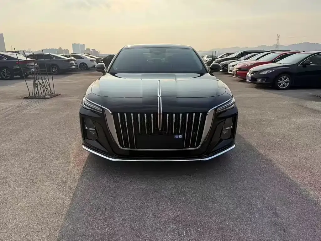 Hongqi H5 2023 из CN, фото 2