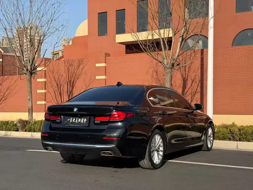 BMW 5 Series 2023 из CN, фото 4