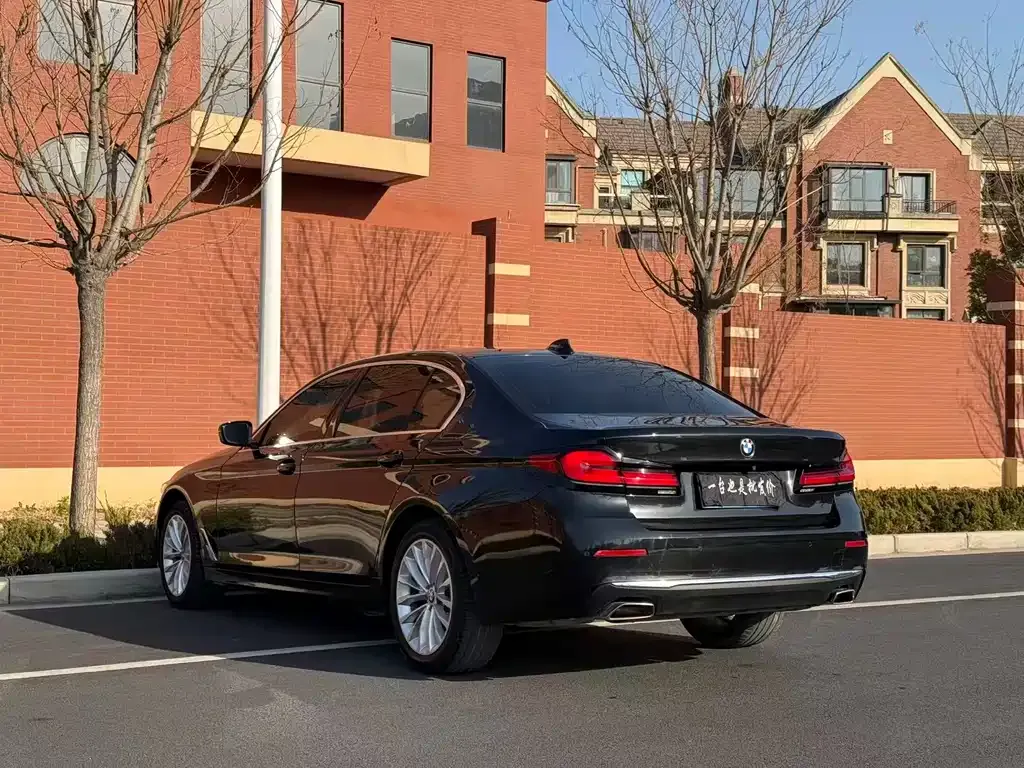 BMW 5 Series 2023 из CN, фото 10