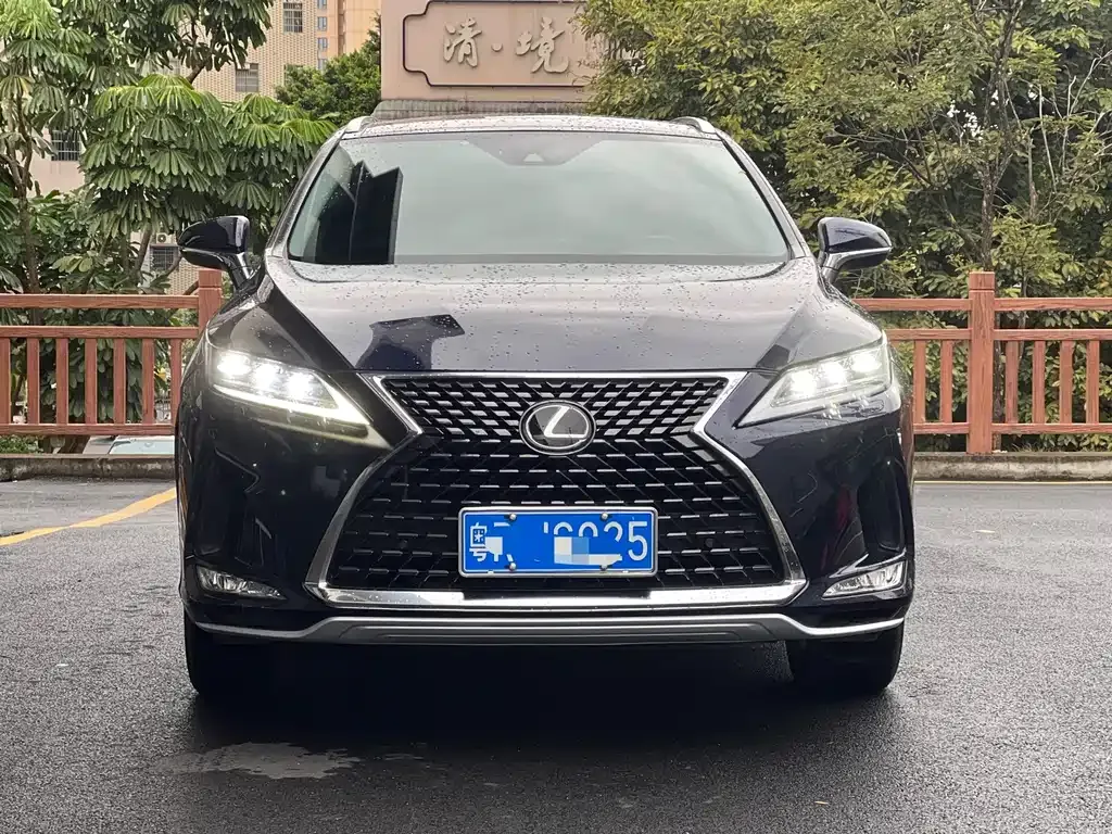 Lexus RX 2022 из CN, фото 6