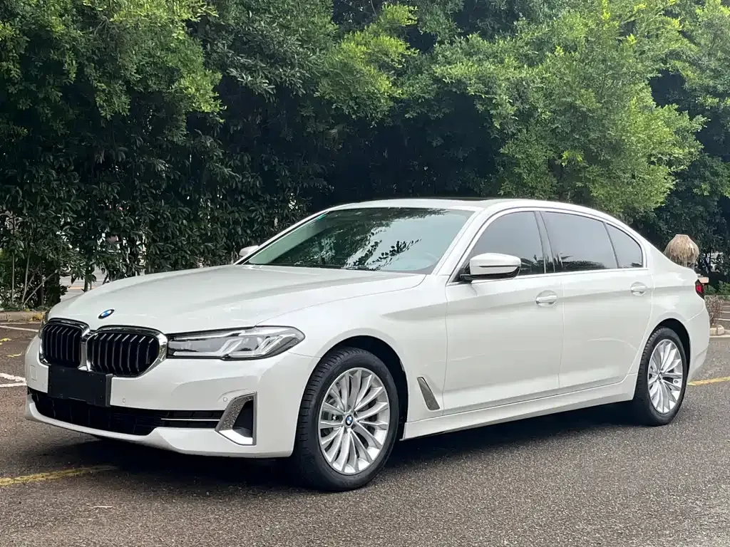 BMW 5 Series 2022 из CN, фото 1