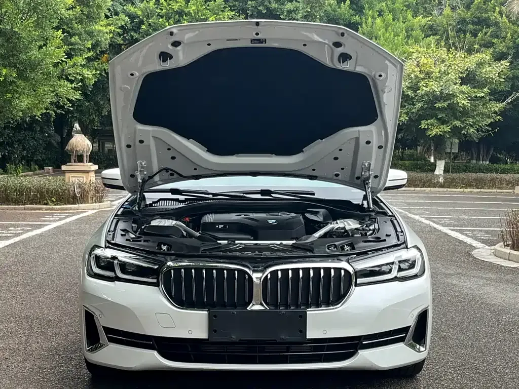 BMW 5 Series 2022 из CN, фото 6
