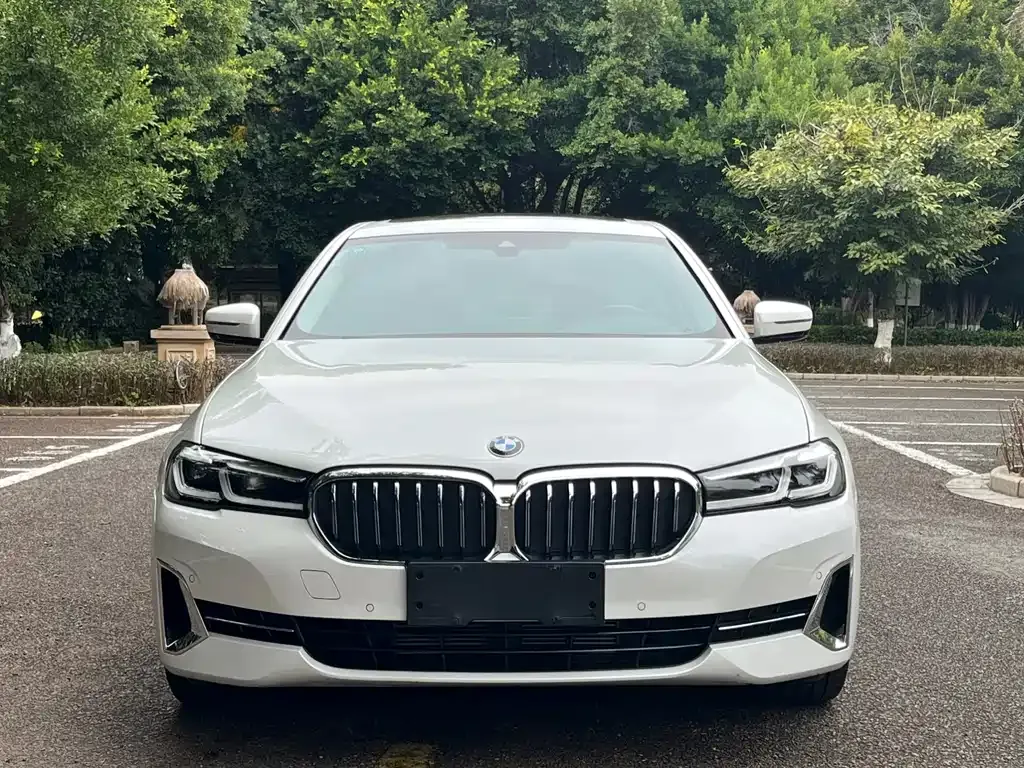 BMW 5 Series 2022 из CN, фото 5