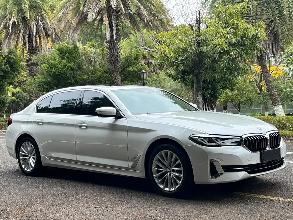 BMW 5 Series 2022 из CN, фото 4