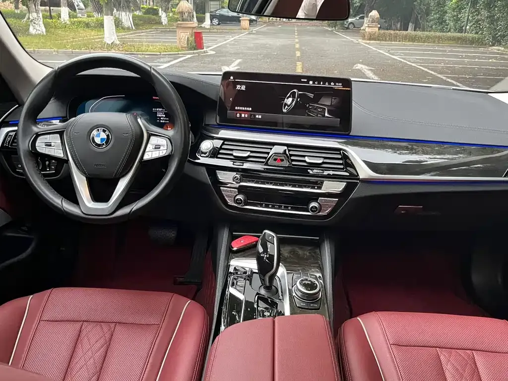 BMW 5 Series 2022 из CN, фото 10