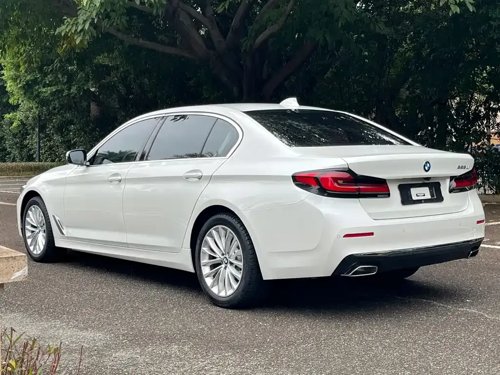 BMW 5 Series 2022 из CN, фото 7