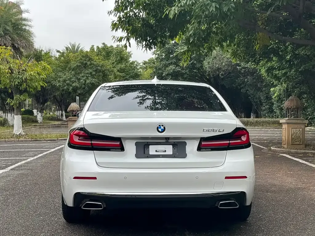 BMW 5 Series 2022 из CN, фото 8