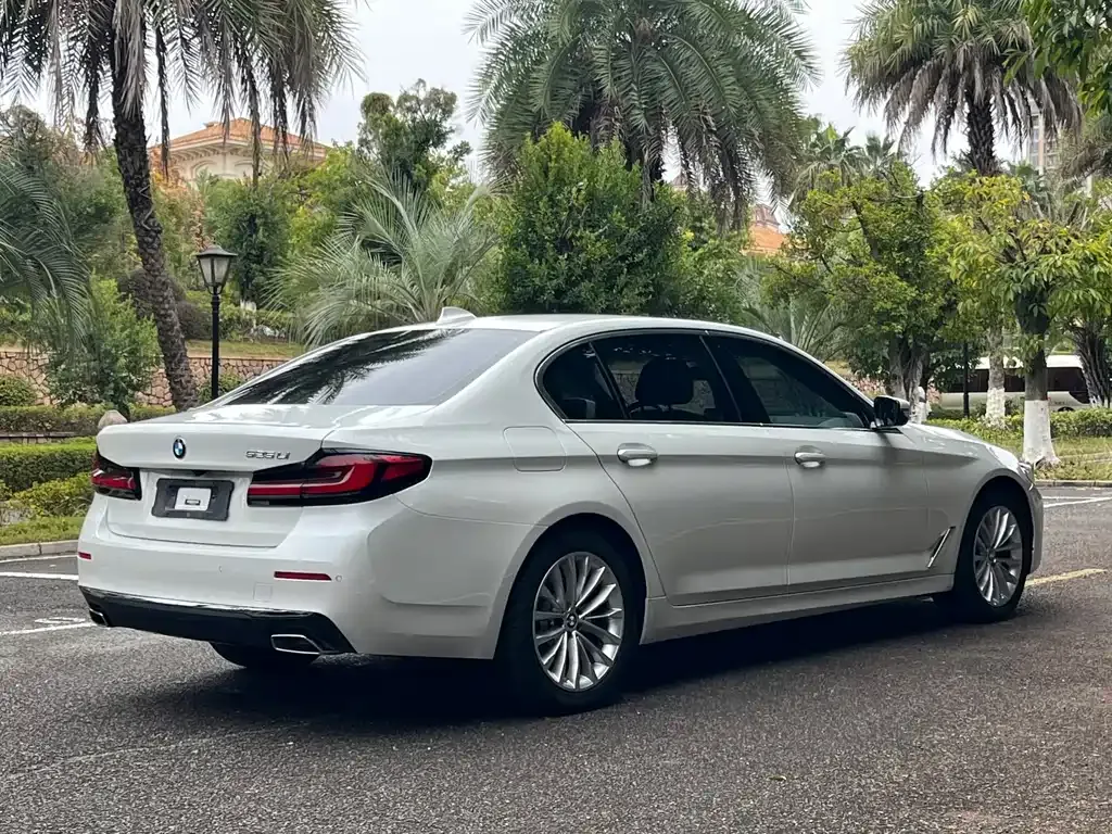 BMW 5 Series 2022 из CN, фото 9