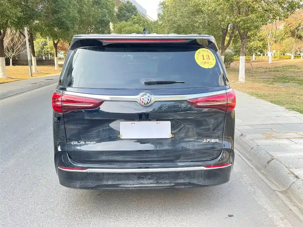 Buick GL8 2023 из CN, фото 10