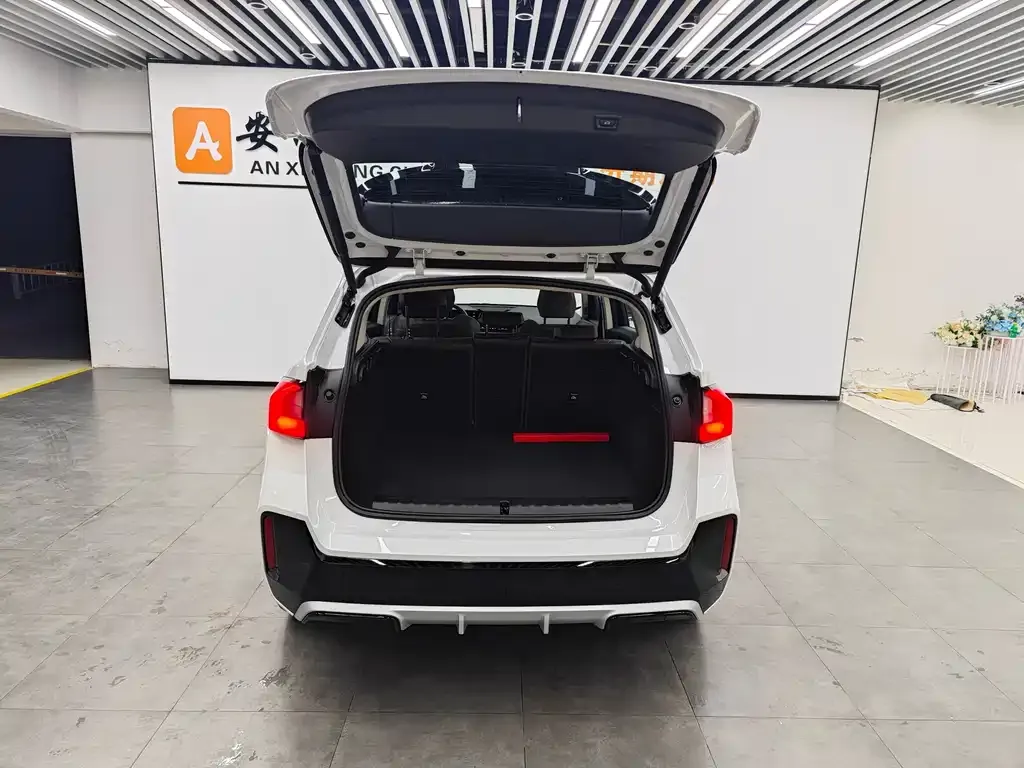 BMW X1 2024 из CN, фото 4